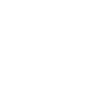 Data Encryption at Rest Icon