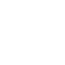 Data Encryption in Transit Icon