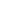 Multi Factor Authentication Icon