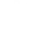 Performance Optimized Icon