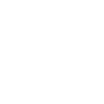 Single Sign On Icon