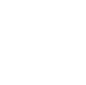 Time-Saving Icon