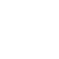 Cross-Language Icon