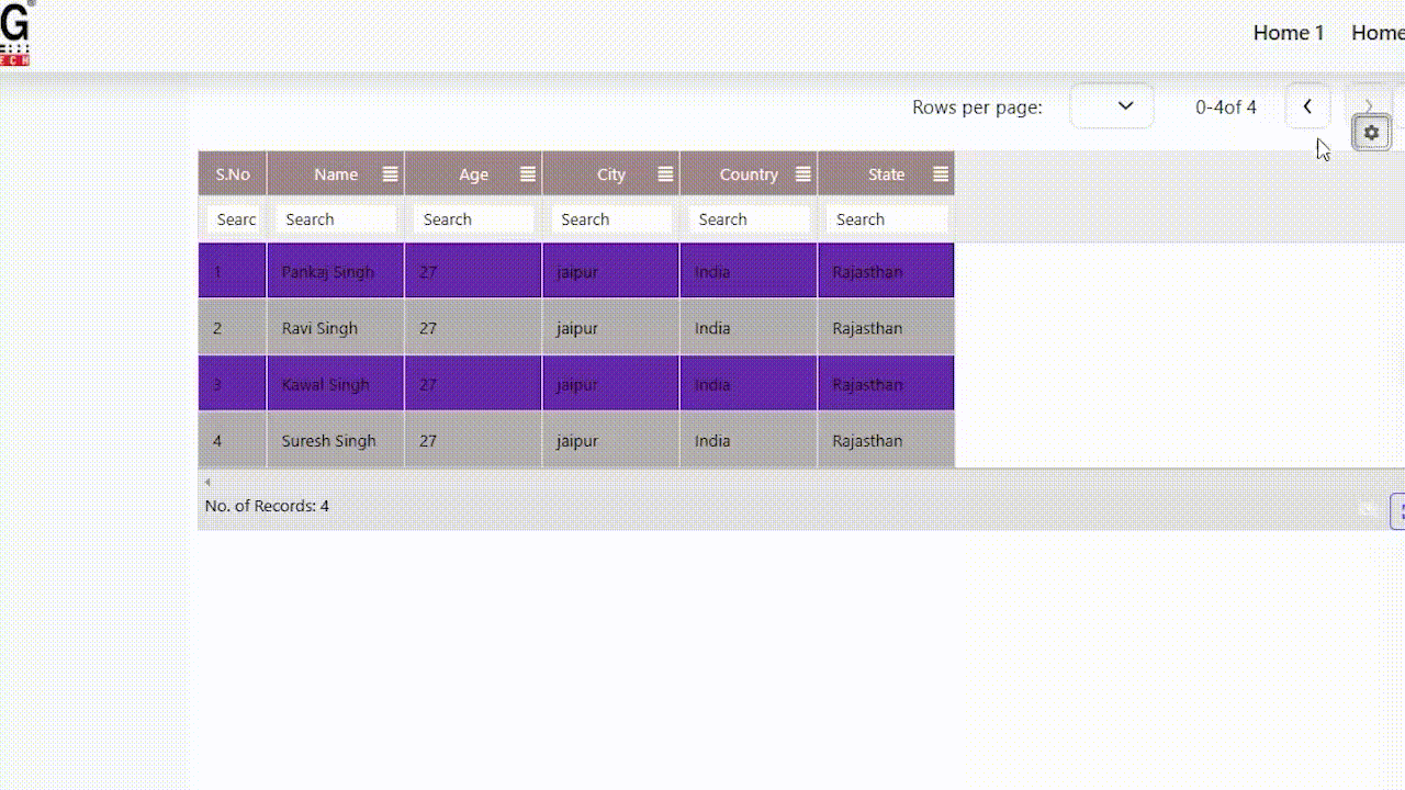 GenCodex Customizable Data Grid