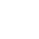 Optimized Performance Icon
