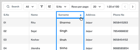 Sag Data Grid Sorting