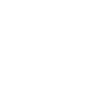Security First Icon